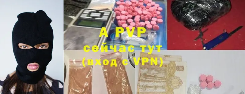 Alfa_PVP СК КРИС Нестеровская